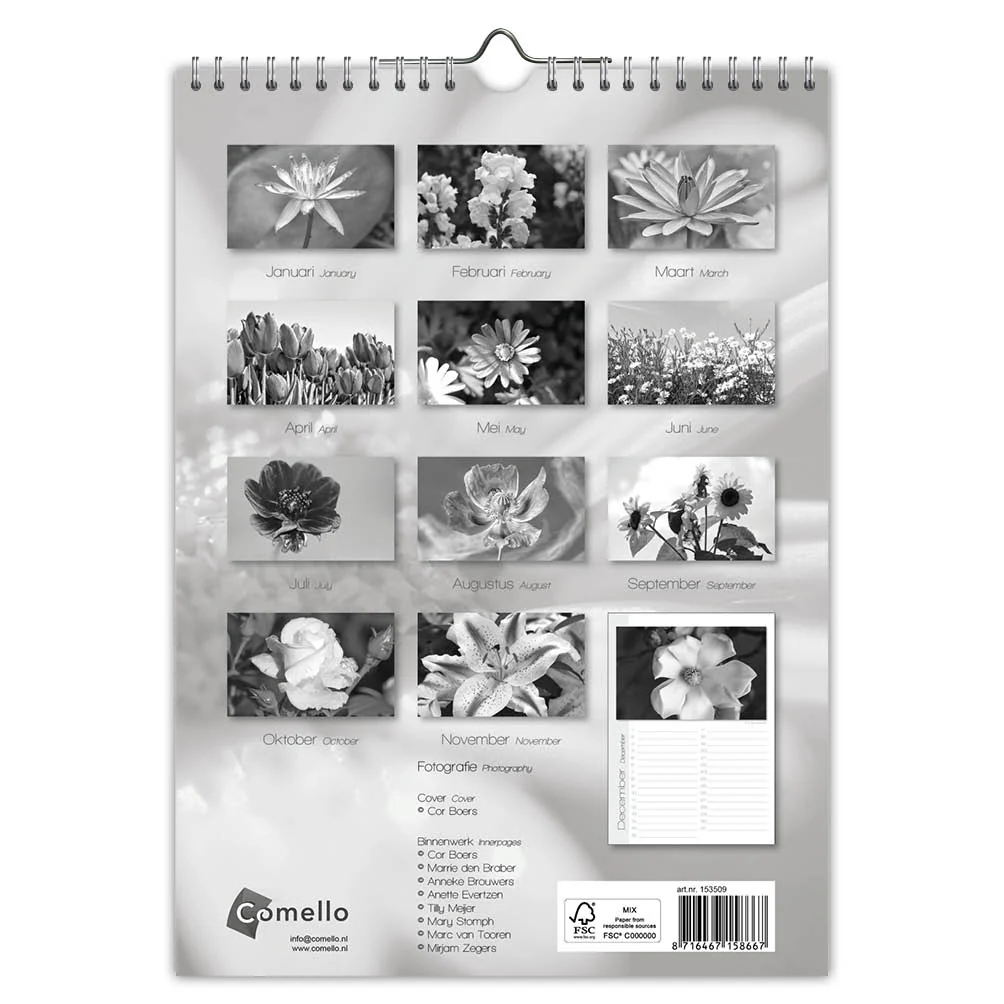 Miniatuur 2