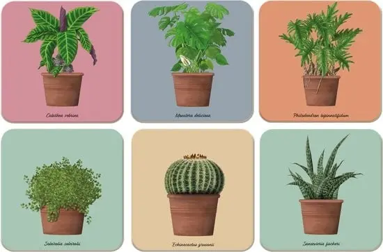Miniatuur 2