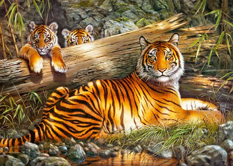Miniatuur 5
