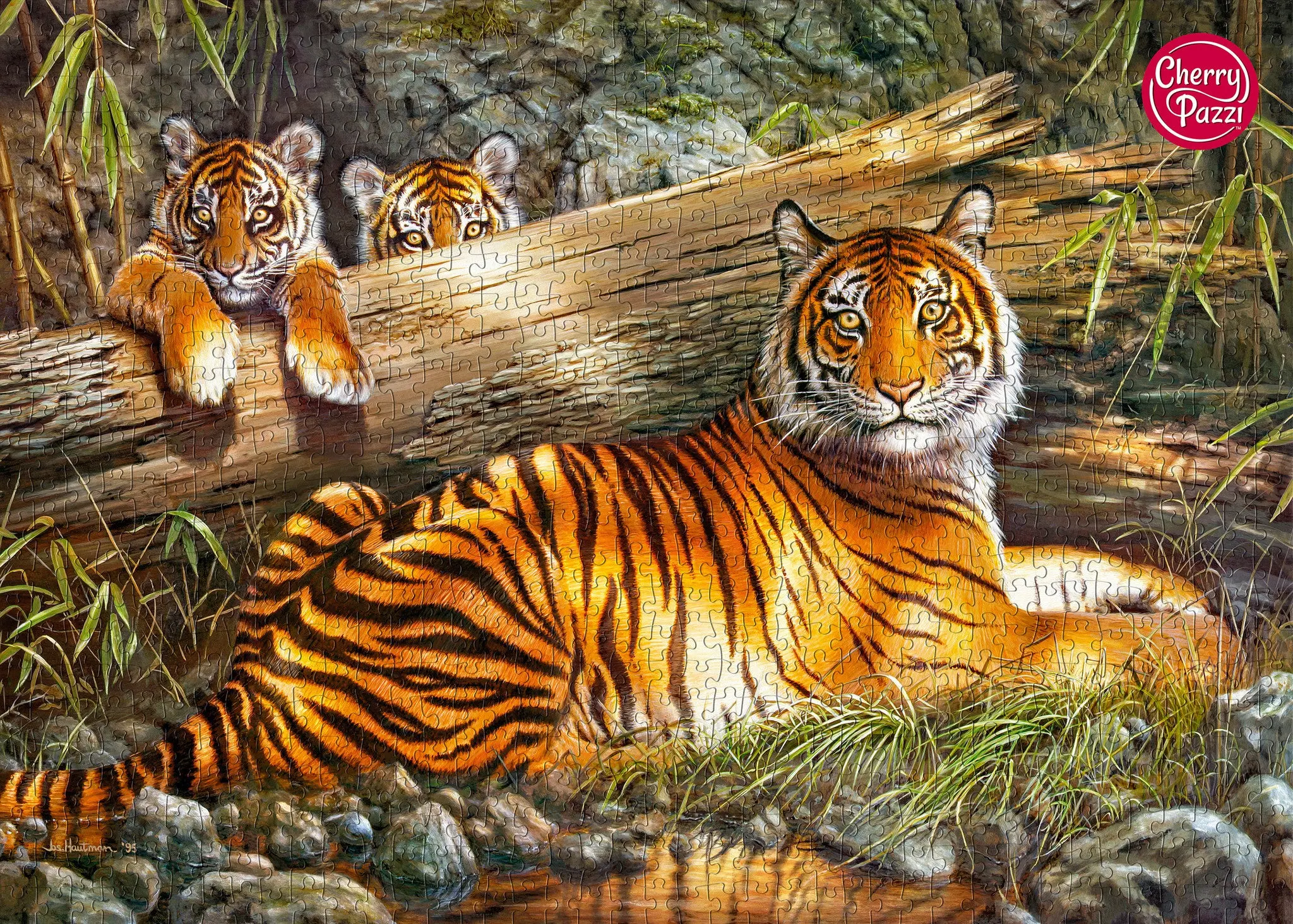 Miniatuur 6