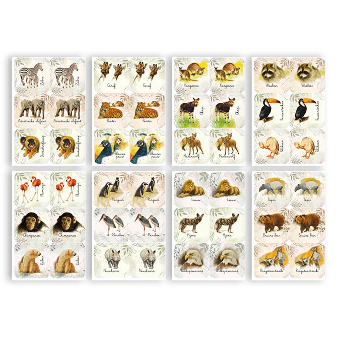 Miniatuur 3
