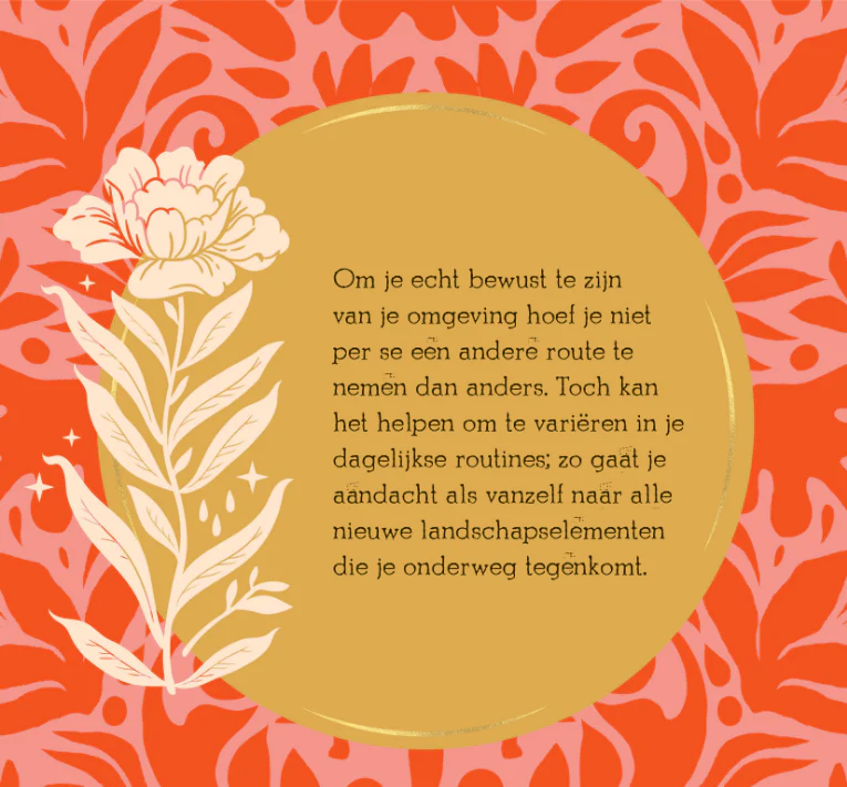 Miniatuur 5
